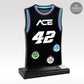 BLST-300_web_custom8_2024