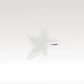 FS-606_Star_S_WEB_2023